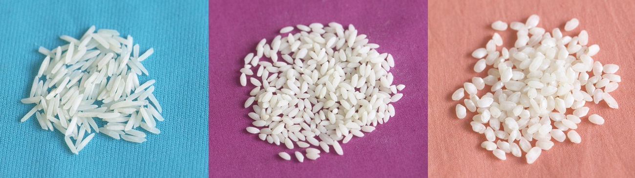 Rice exporter in Iran, Rice supplier in Iran, Rice Company in Iran, Rice producer in Iran, exporter of Rice in Iran